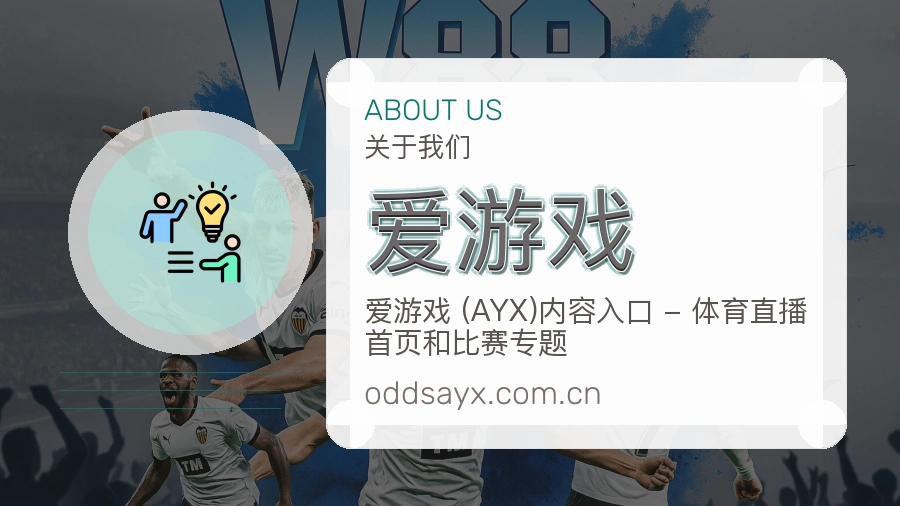 爱游戏平台简介